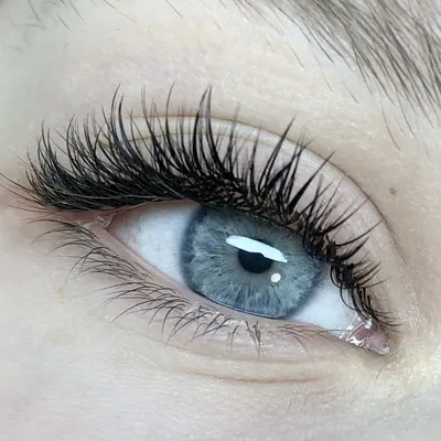 Wimpernverlängerung Vorschau 4 – Wimpernglanz Karlsruhe